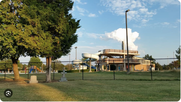A city pool with water slides beside a grassy park and large trees